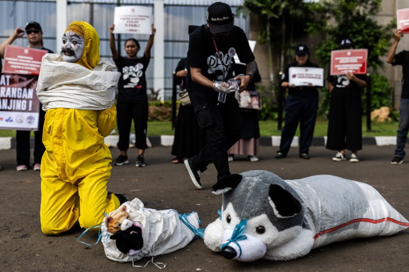 Sute de frigărui din carne de câine, confiscate de autoritățile de pe insula indoneziană Bali