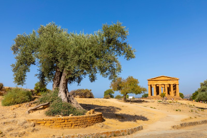 Templul Concordiei din Agrigento, Sicilia / FOTO: IMAGO / imago stock&people / Profimedia