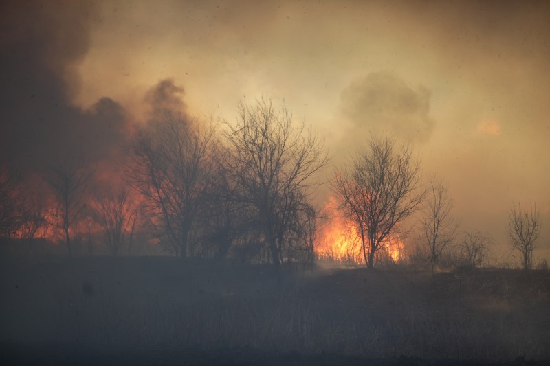 Incendiu de vegetație la marginea orașului Râmnicu Vâlcea. Flăcările s-au extins la o pădure