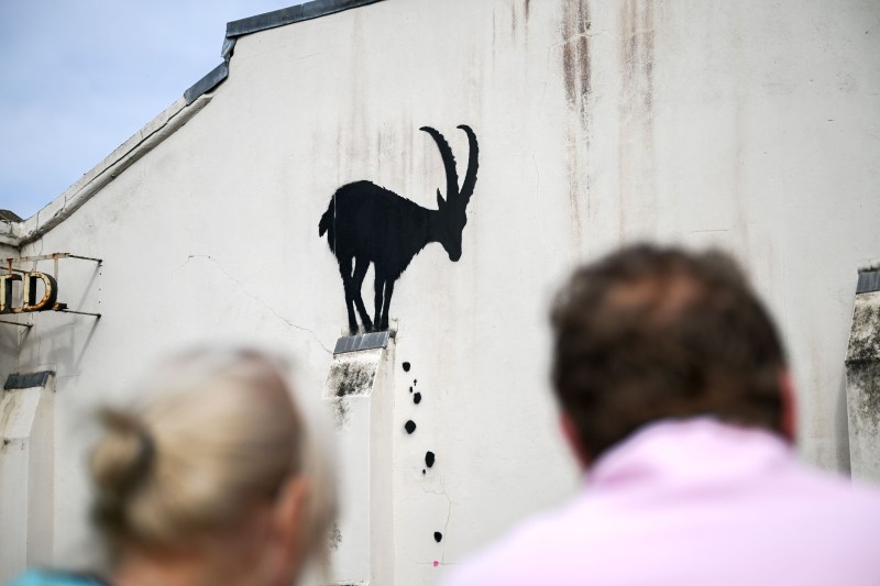 Banksy a invadat Londra cu pisică, lup, maimuță, elefanți. Să ne arate cât de simplu te poți bucura de  viață