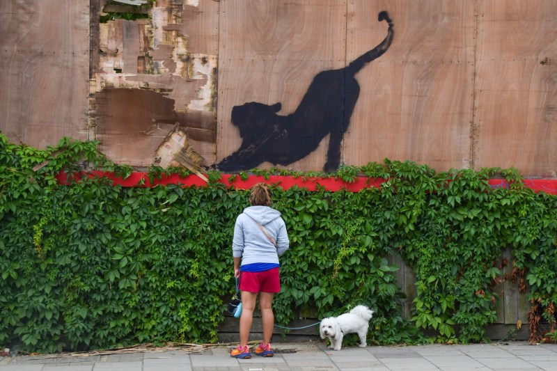 FOTO O nouă operă a lui Banksy a fost demontată în doar câteva ore