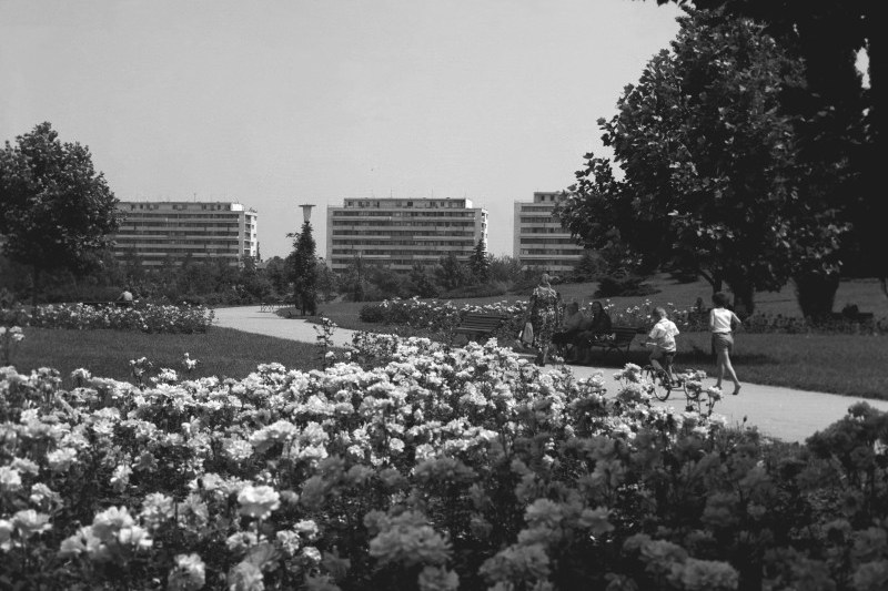 Parcul Circului din Bucuresti 1967 / FOTO Agerpres