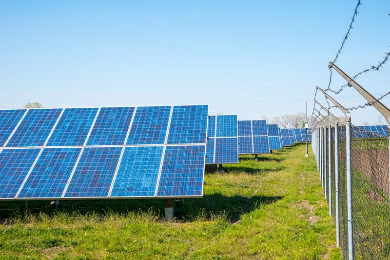 Fotovoltaice și agricultură pe același teren / Ce se poate crește sub panouri și cum ajung oile să producă mai multă lână