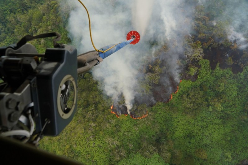 VIDEO Două incendii de pădure în zone din montane Gorj / Recomandări ale salvamontiștilor pentru turişti