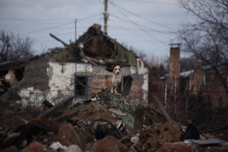 Rușii revendică cucerirea altor două localităţi din Doneţk şi Lugansk / Tot mai aproape de Pokrovsk