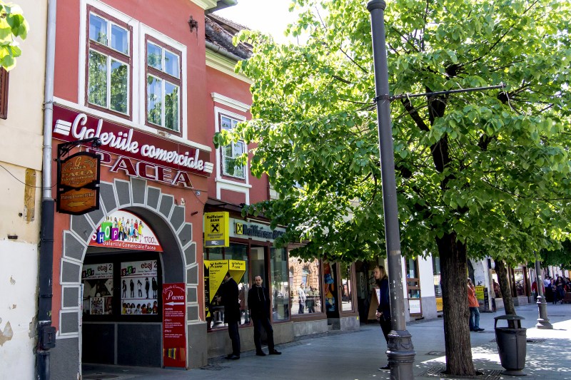 fanatik.ro: Cum arată casa din Florida a partenerei de afaceri imobiliare a familiei Iohannis. Cât a plătit Rodica Baștea pe vila din Jacksonville