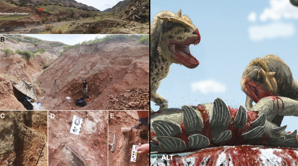 dinozaur Alpkarakush kyrgyzicus / FOTO: Captură Twitter Zoological Journal of the Linnean Society