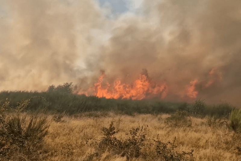 Incendiu de vegetaţie masiv în Maramureş