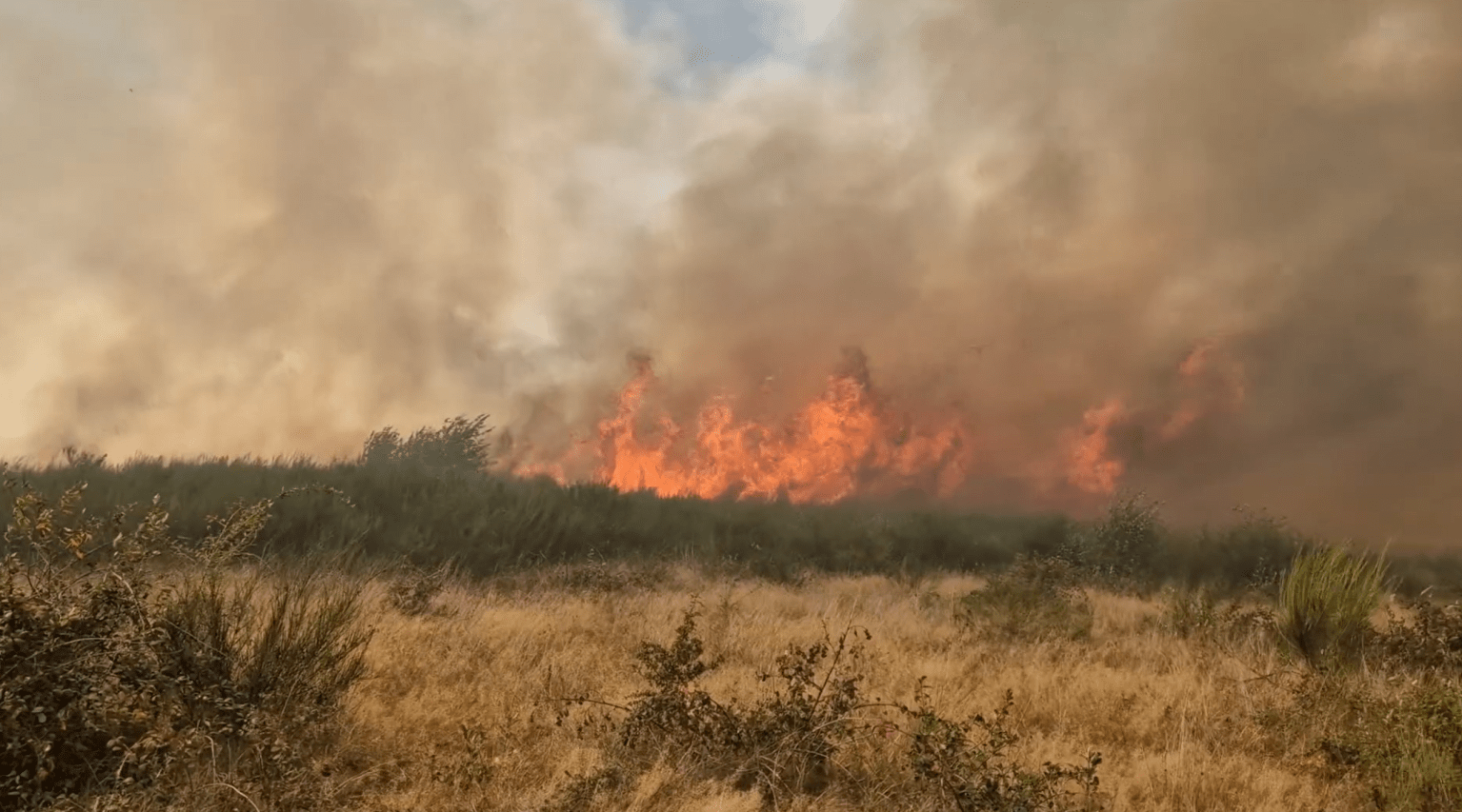 Incendiu de vegetaţie masiv în Maramureş