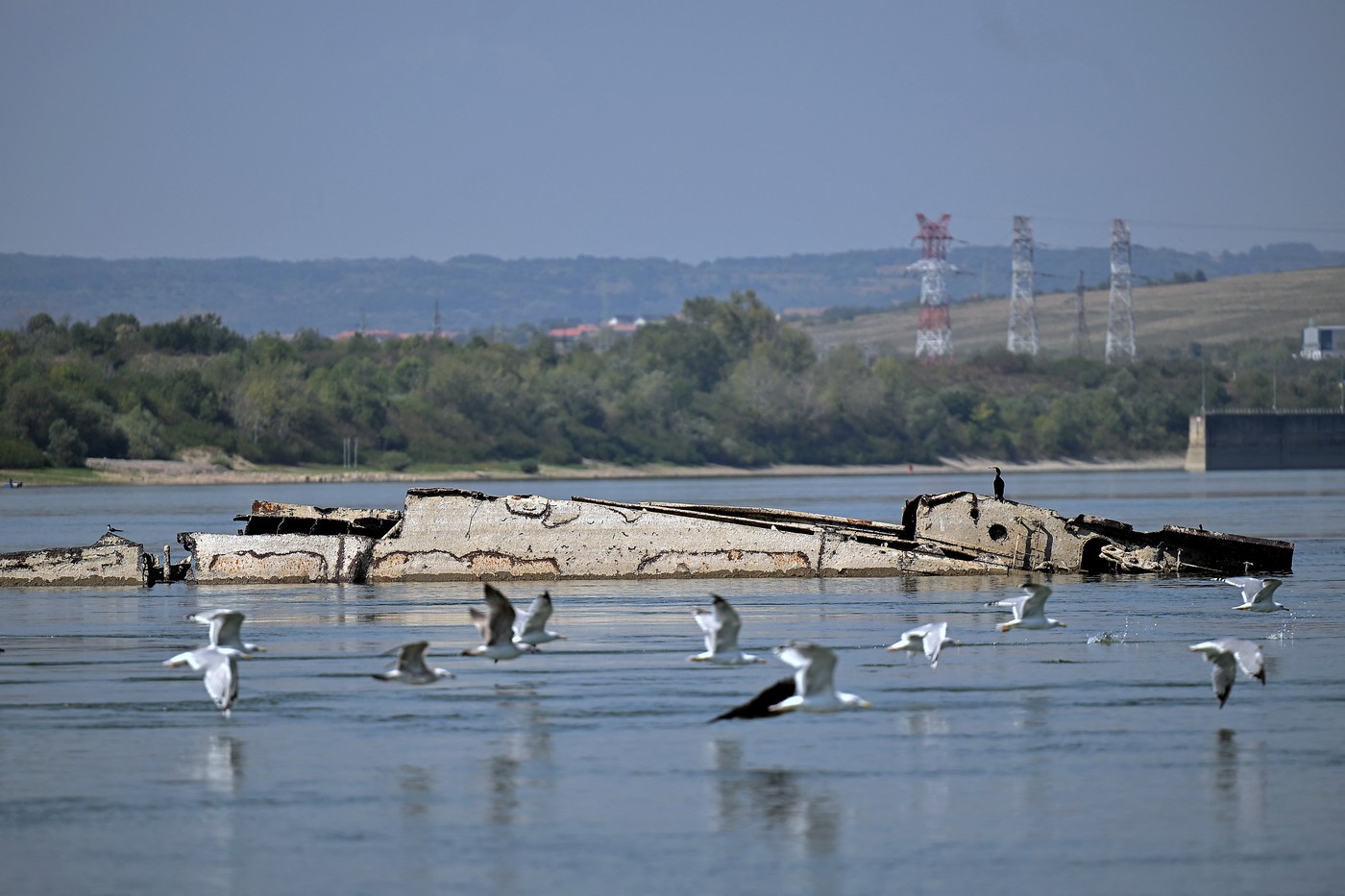 FOTO Seceta scoate la iveală, în Serbia şi Ungaria, nave scufundate în Dunăre din cel de-al Doilea Război Mondial