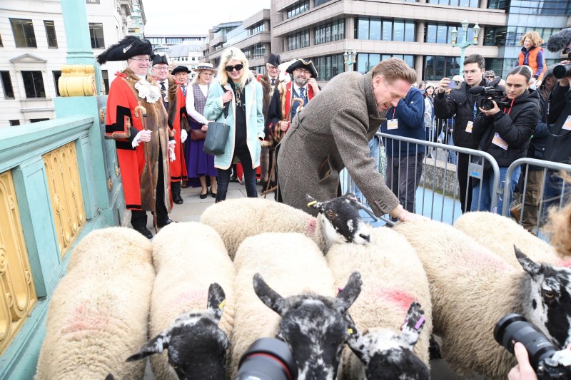 Damian Lewis a mânat oile pe un pod din Londra / FOTO: Bob Grey / BACKGRID / Backgrid UK / Profimedia