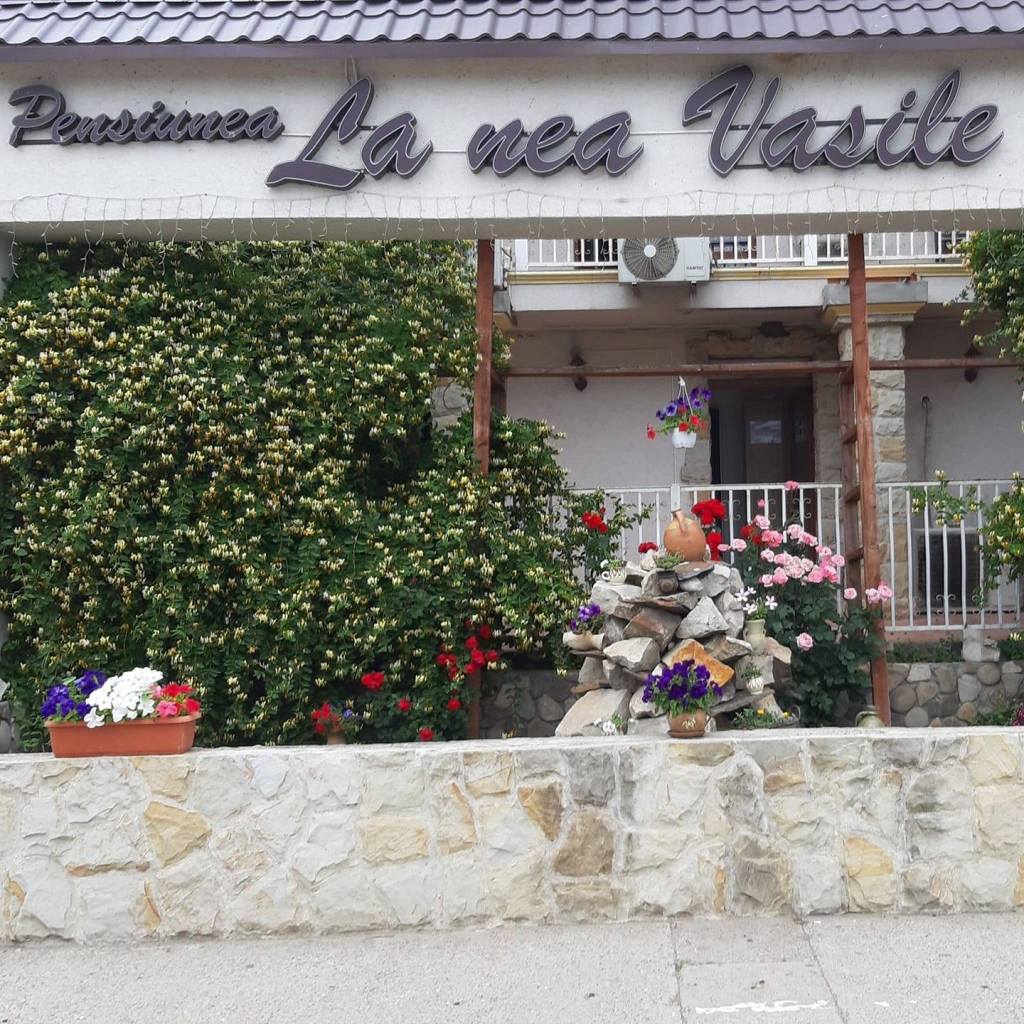 Pensiunea „La Nea Vasile” din Vaslui. Foto: Facebook