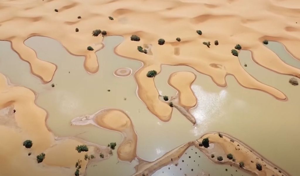 Deșertul Sahara inundat. Sursa foto: Captura video The Guardian