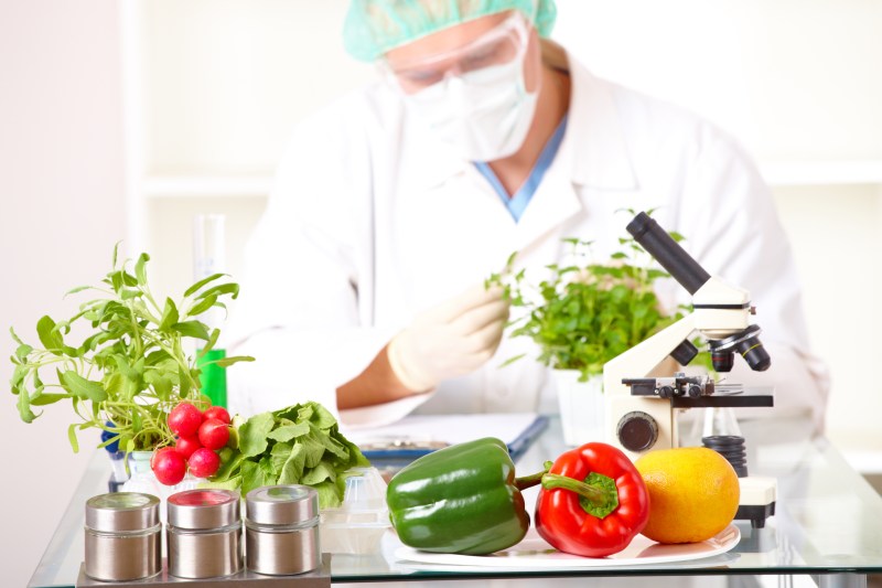 Sunt alimentele modificate genetic sigure pentru copii? Ce sfaturi au un gastroenterolog pediatru și un  epidemiolog