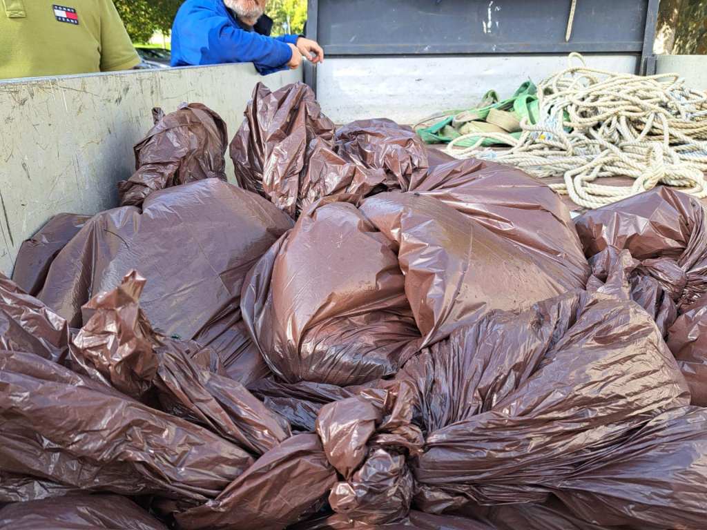 Saci cu pești morți scoși din pârâul Peța, în Oradea / FOTO: Apele Române Crișuri - Facebook