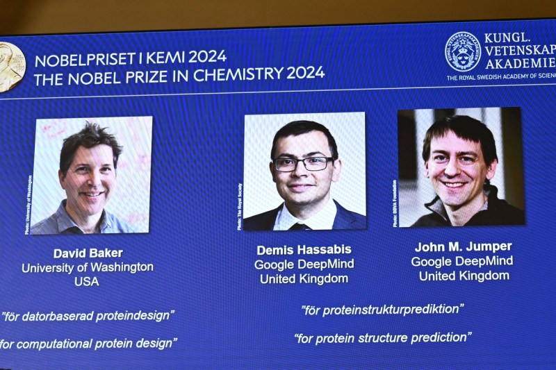 Premiul Nobel pentru Chimie 2024. Cum au reușit un pasionat de șah, un fizician și un filosof să facă două descoperiri cu un potențial uriaș