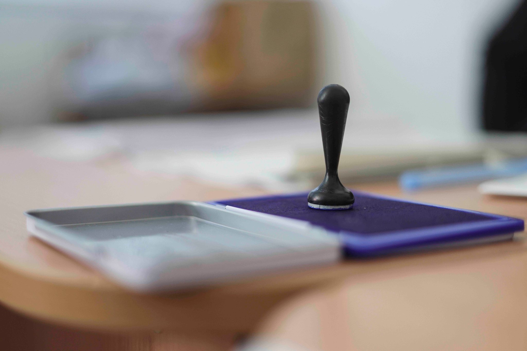 Vot alegeri prezidențiale 2024 / FOTO: Inquam Photos / Octav Ganea