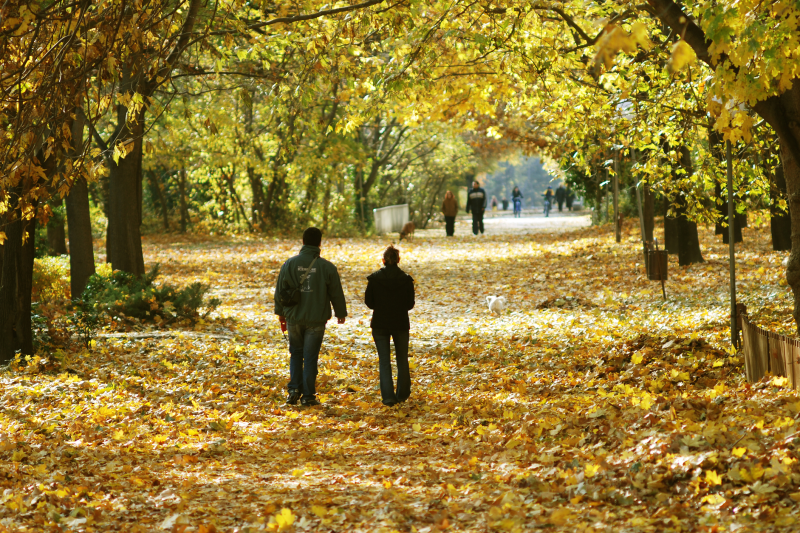 Vreme neobișnuită de toamnă în România până la începutul lunii decembrie