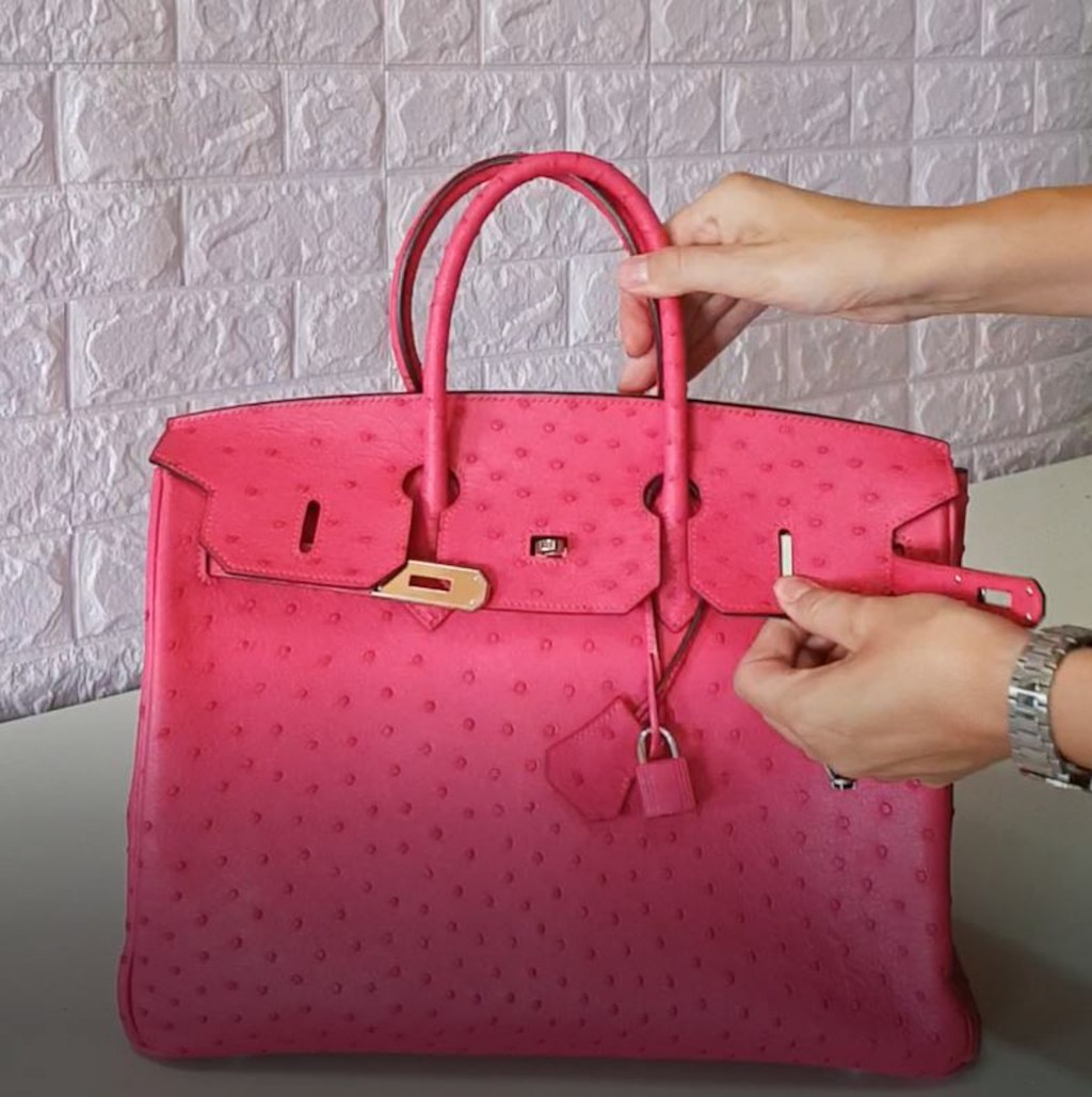 Geantă Birkin / FOTO: Dilantha Dissanayake / Caters News / Profimedia