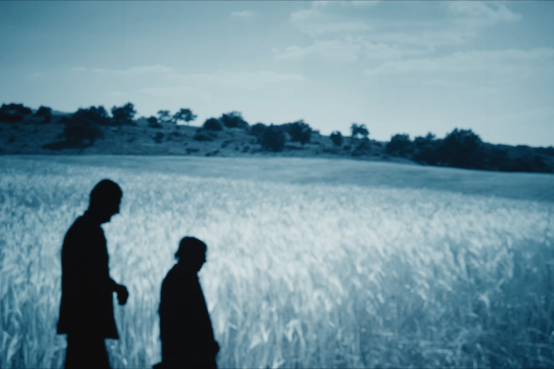 INTERVIU „În Ucraina, povestea asta e un cartof fierbinte”. Regizorul Tudor Giurgiu povestește cum a luat naștere filmul „Pădurea de molizi”, despre masacrul de la Fântâna Albă