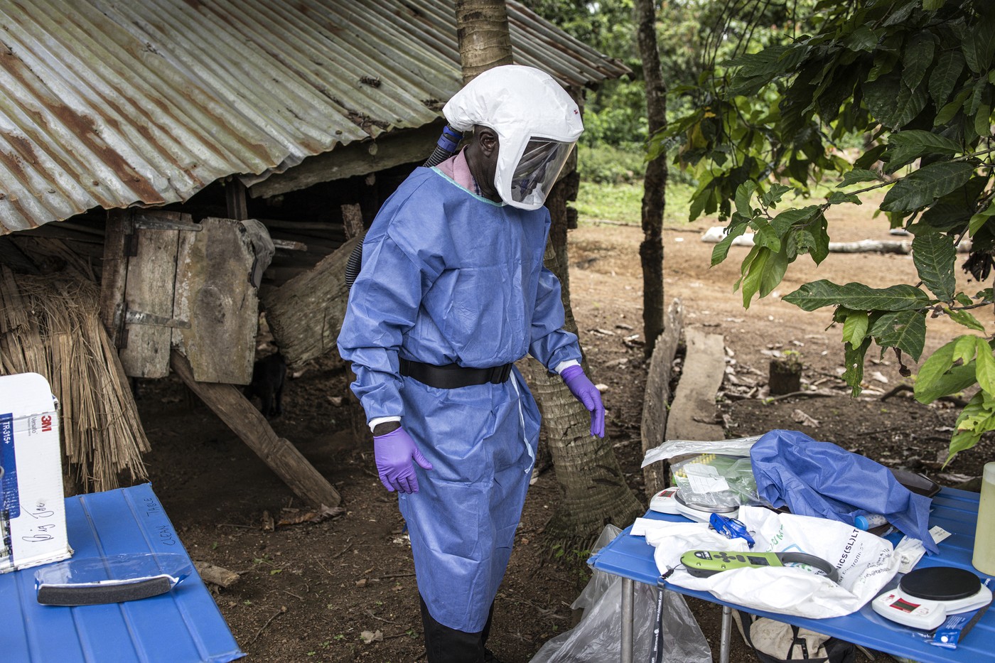 Febra Lassa epidemie Nigeria simptome riscuri transmisie rozătoare | sursa foto: HotNews