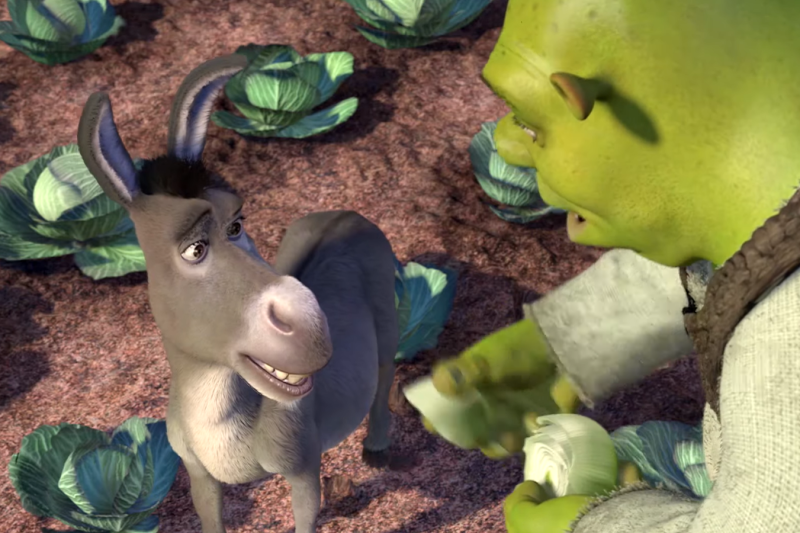 Măgarul care a inspirat îndrăgitul personaj Donkey din filmul „Shrek” a murit la 30 de ani