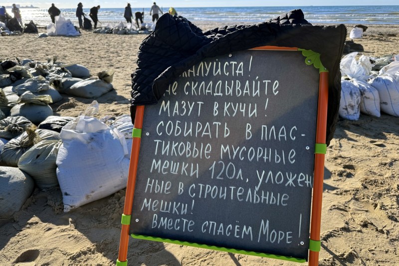 Dezastru ecologic în Marea Neagră: zeci de cetacee moarte și poluare masivă după scufundarea a două petroliere rusești