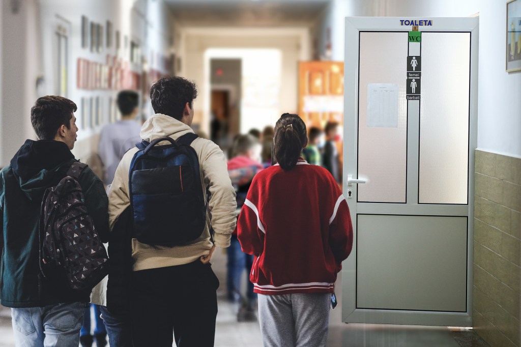 Toaletă într-o școală din România. Colaj: Ion Mateș / Hotnews. Foto: Shutterstock, Inquam Photos