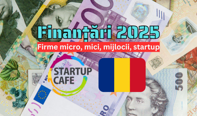 Finanțări 2025: Zece surse de bani pentru startup-uri și firme micro, mici și mijlocii din România