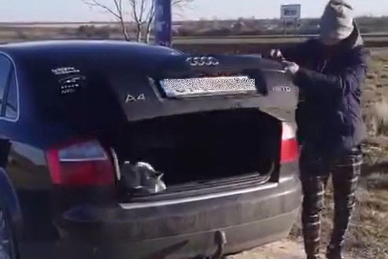 Anchetă a poliției după un clip viral pe TikTok în care doi bărbați abandonează o pisică pe câmp: „Zât să nu te văd”