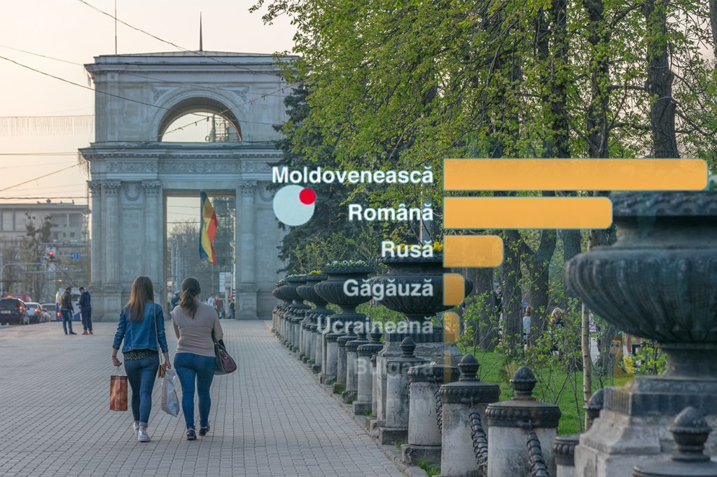 Sursă imagine fundal: Ungureanu Vadim | Dreamstime.com