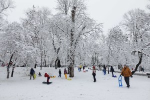 Parc din București. Foto: Inquam Photos / George Călin