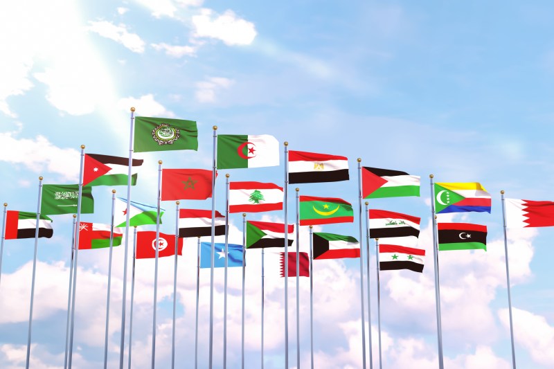 Egiptul a anunțat un sumit de urgență cu țările arabe: ”Ultimele evoluții sunt grave”