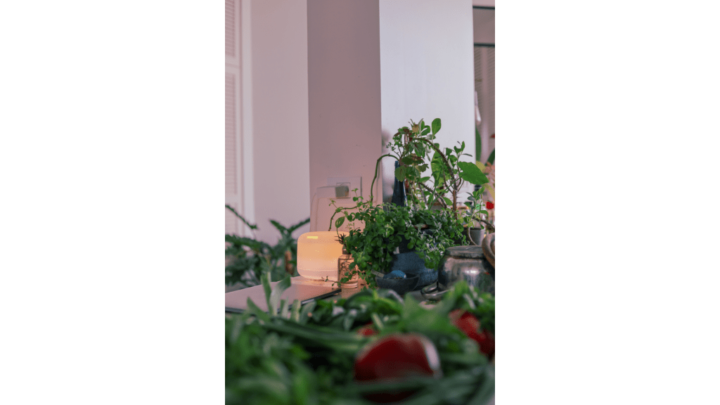 Care sunt beneficiile purificatoarelor de aer