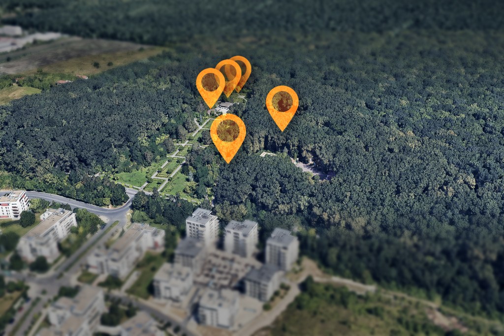 Pădurea Băneasa și amplasarea celor 5 proiecte. Colaj: Ion Mateș / Hotnews. Foto: Shutterstock și Google Maps