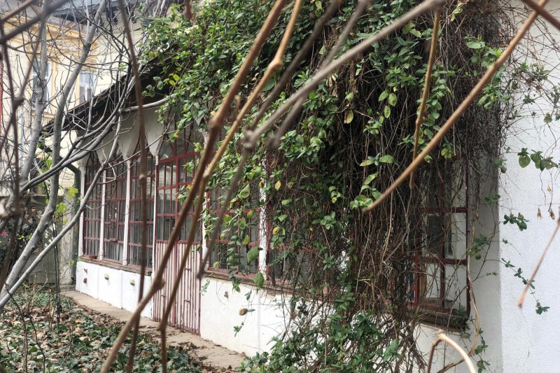 Ultima casă de târgoveț din Cartierul Armenesc. “La Metoc”, grădină secretă cu smochini, huzur oriental, socată și șerbet pentru verile încinse din București