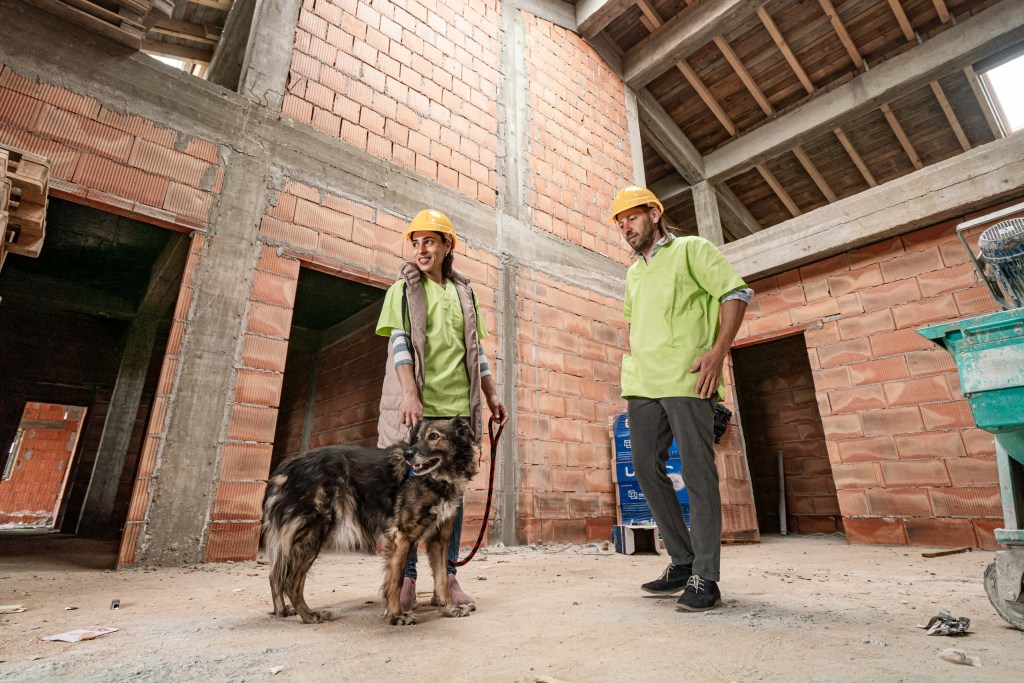 Sache și 2 medici veterinari în vizită la șantierul spitalului / Foto: Asociația Sache Vet