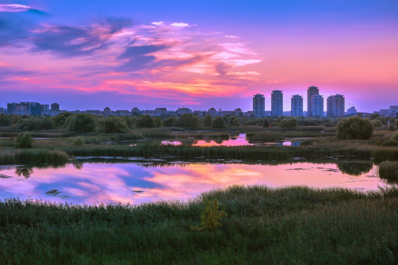 Plimbare în mijlocul naturii, fără să ieși din București. Loc verde, liniștit și curat, departe de agitația orașului