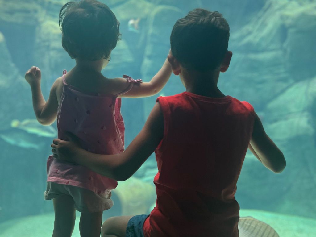 Vlăduț și Iris, frați nu de sânge ci de iubire, descoperă și explorează lumea mână în mână. SURSA FOTO: Arhiva familiei