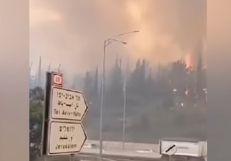 Incendii devastatoare în Israel / Captură video Youtube