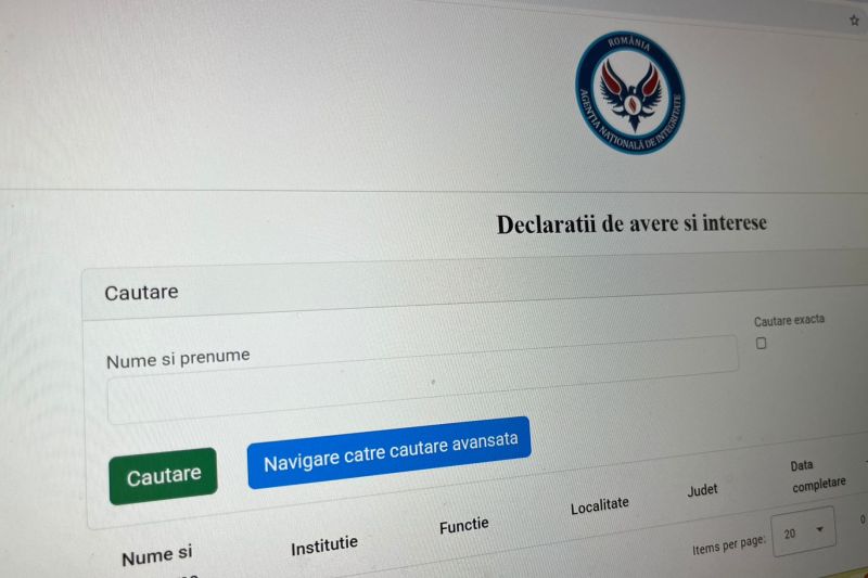 Declarații de avere. Foto: HotNews / David Leonard Bularca
