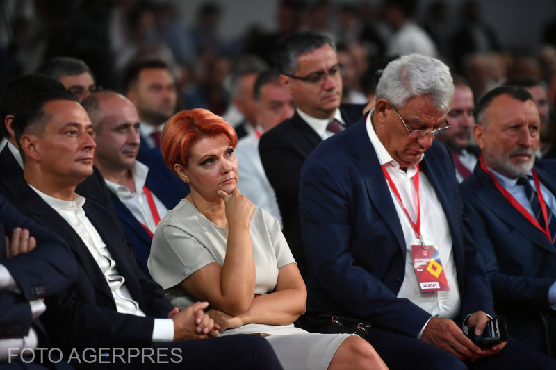 Poza pentru articolul Lia Olguța Vasilescu, după ce PSD a denunțat „o campanie de tip nazist”: „Șobolanul ăl mare are o singură sprânceană și se uită încruntat la români”