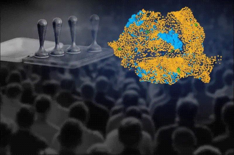 Voturile din turul 1 al alegerilor prezidențiale din 2025. Grafică: Ion Mateș / Hotnews.