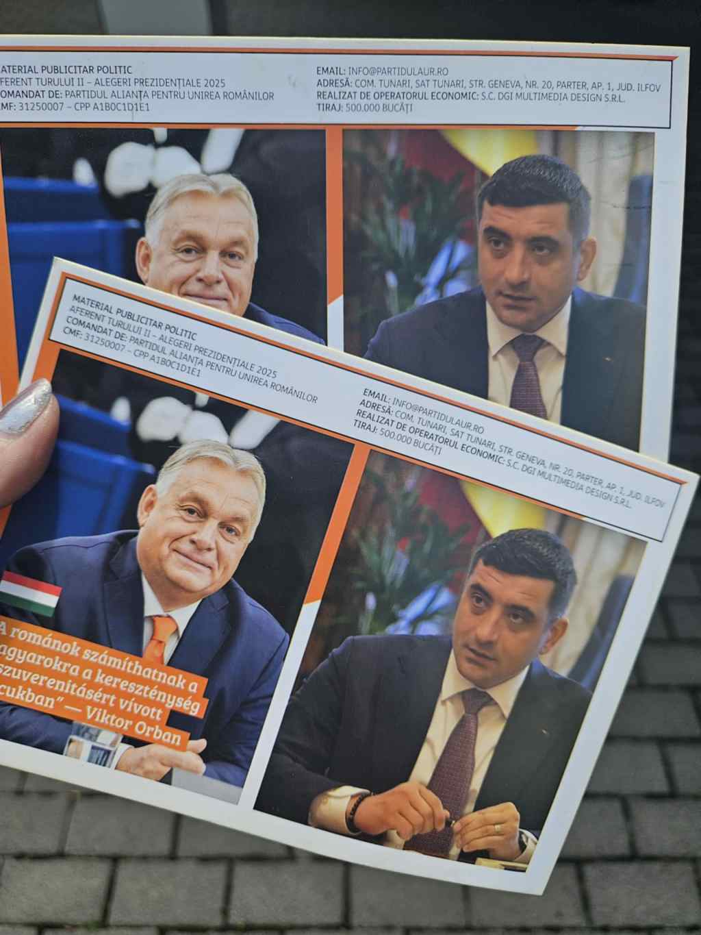 Pliante cu George Simion și Viktor Orban. Foto: Anna Maria Popa, pentru HotNews