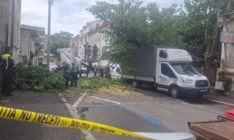 Copac căzut peste patru mașini parcate, în București. A fost avariată şi o conductă de gaze