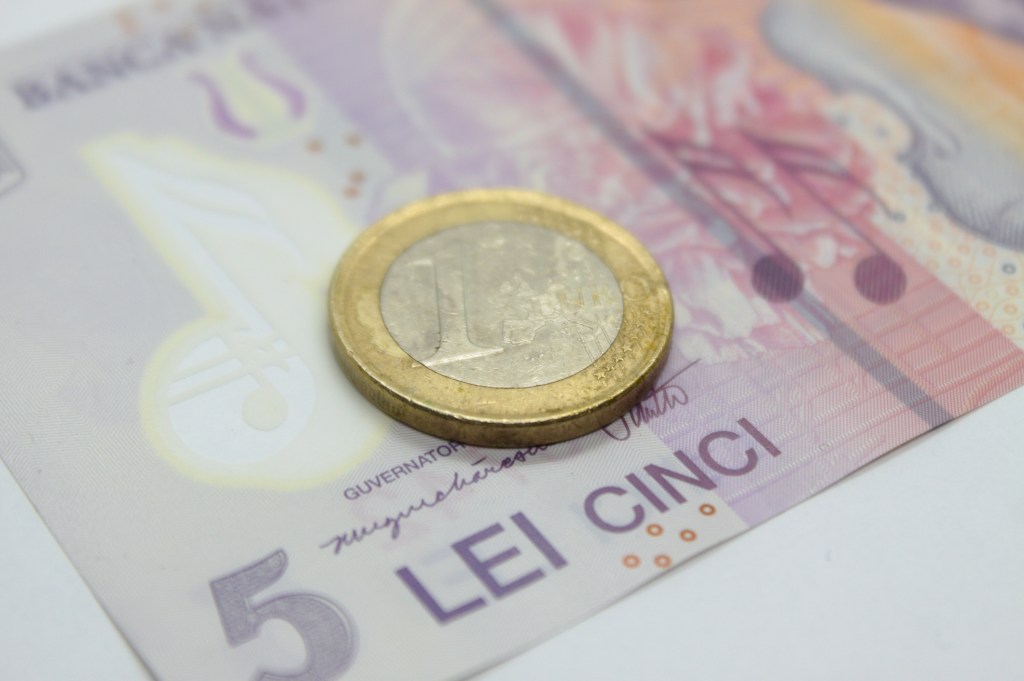 Curs valutar Euro-leu. Foto: Silviu Carol Cenusa | Dreamstime.com