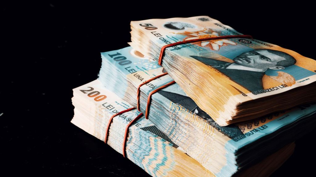 Bani românești. Foto: Shutterstock