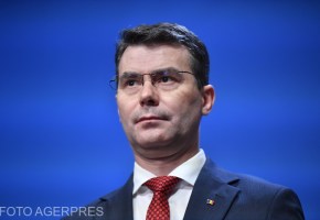 Horațiu Moldovan, președintele CNAS / Foto: Agerpres