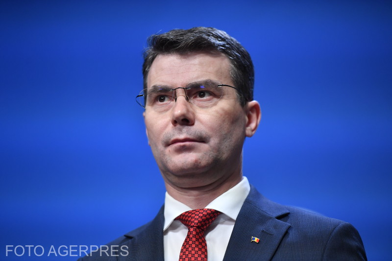 Horațiu Moldovan, președintele CNAS / Foto: Agerpres