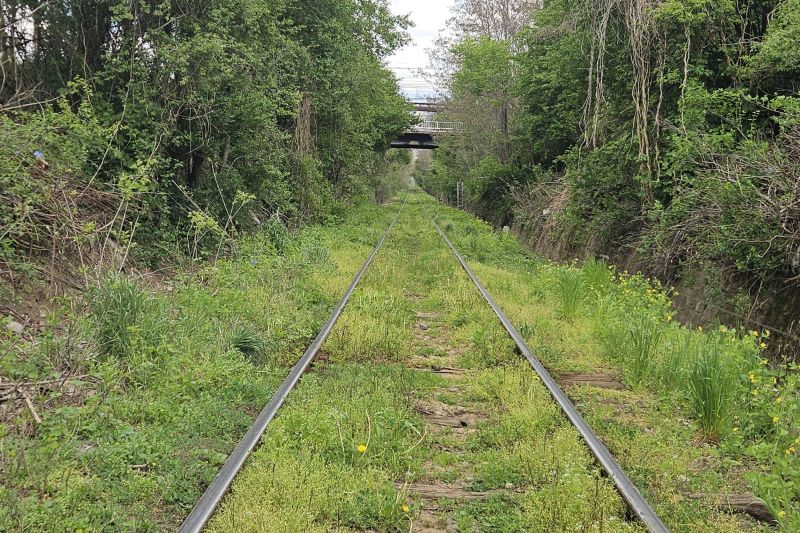 „Va fi haos de nedescris” – Avertismentul sindicaliștilor feroviari, după măsurile de reducere a cheltuielilor anunțate de Ministerul Transporturilor